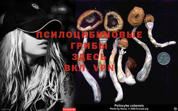 соль курить ск Осинники