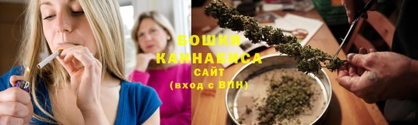 PSILOCYBIN Остров