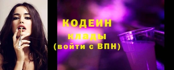 дурь Осташков