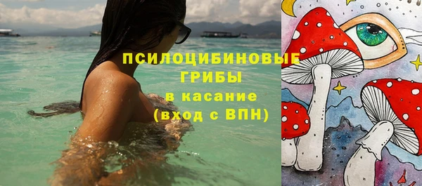 PSILOCYBIN Остров
