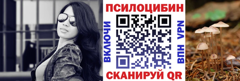 Псилоцибиновые грибы Cubensis  Ишим 