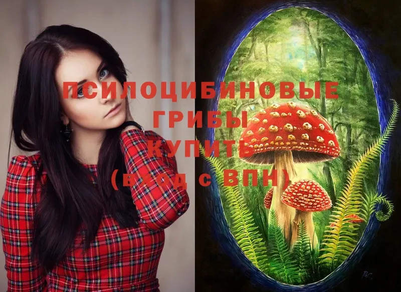 купить  сайты  Ишим  Псилоцибиновые грибы Magic Shrooms 