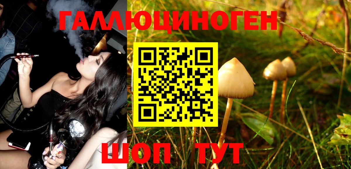 Псилоцибиновые грибы GOLDEN TEACHER Ишим