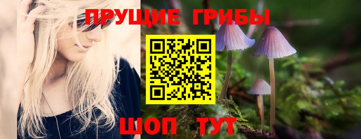 Ишим  Псилоцибиновые грибы MAGIC MUSHROOMS  купить наркотик  Вход с VPN  Галлюциногенные грибы мицелий 
